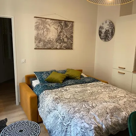 Magnifique appartement au centre ville avec parking privé et gratuit LE JARDIN DES PLANTES Dijon Extérieur photo