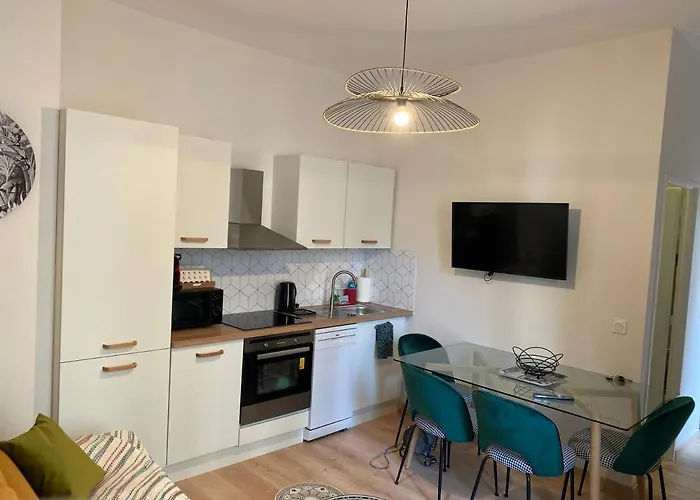 Magnifique Appartement Au Centre Ville Avec Parking Prive Et Gratuit Le Jardin Des Plantes