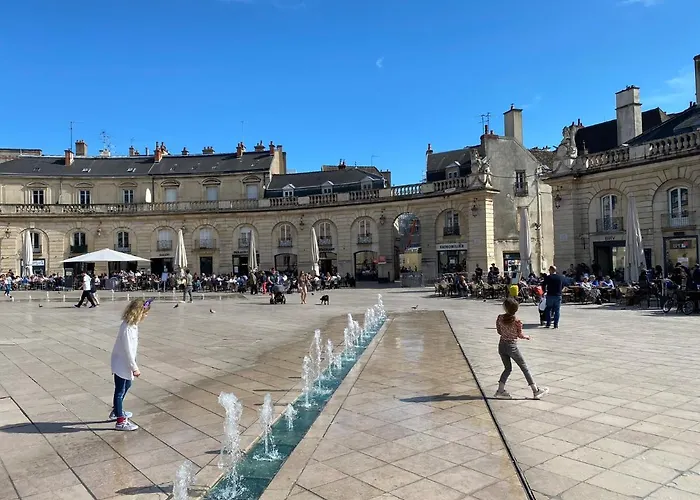 Magnifique Appartement Au Centre Ville Avec Parking Prive Et Gratuit Le Jardin Des Plantes